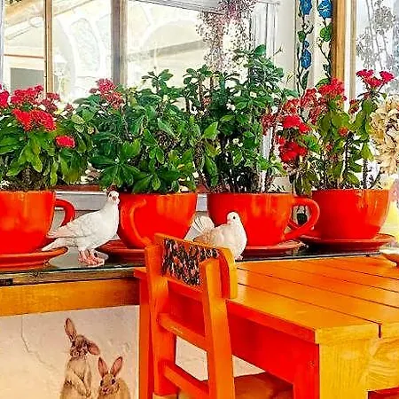 Hotel Sade Boutique Bodrum