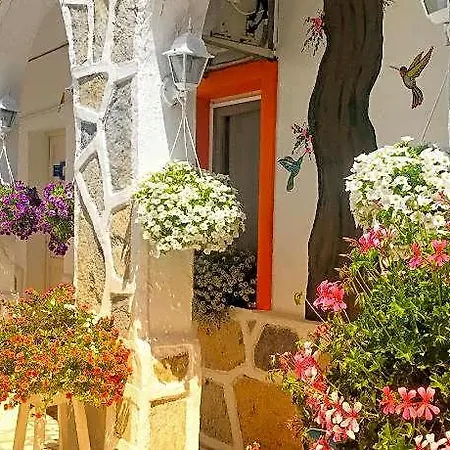 Sade Boutique 酒店 博德鲁姆