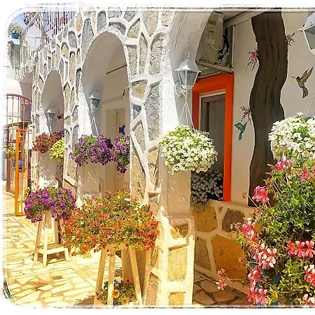 Hotel Sade Boutique Bodrum
